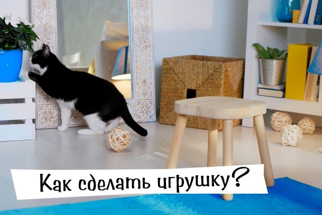 Снимок_экрана_2018-03-26_в_9.14.40.png