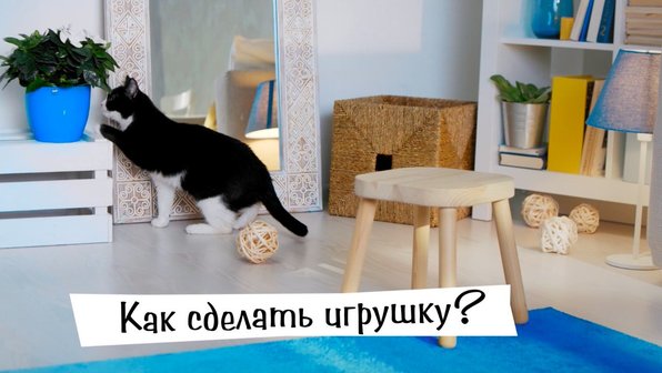 Видео: как сделать игрушку для кота своими руками