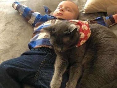 Pets.mail.ru Pets.mail.ru