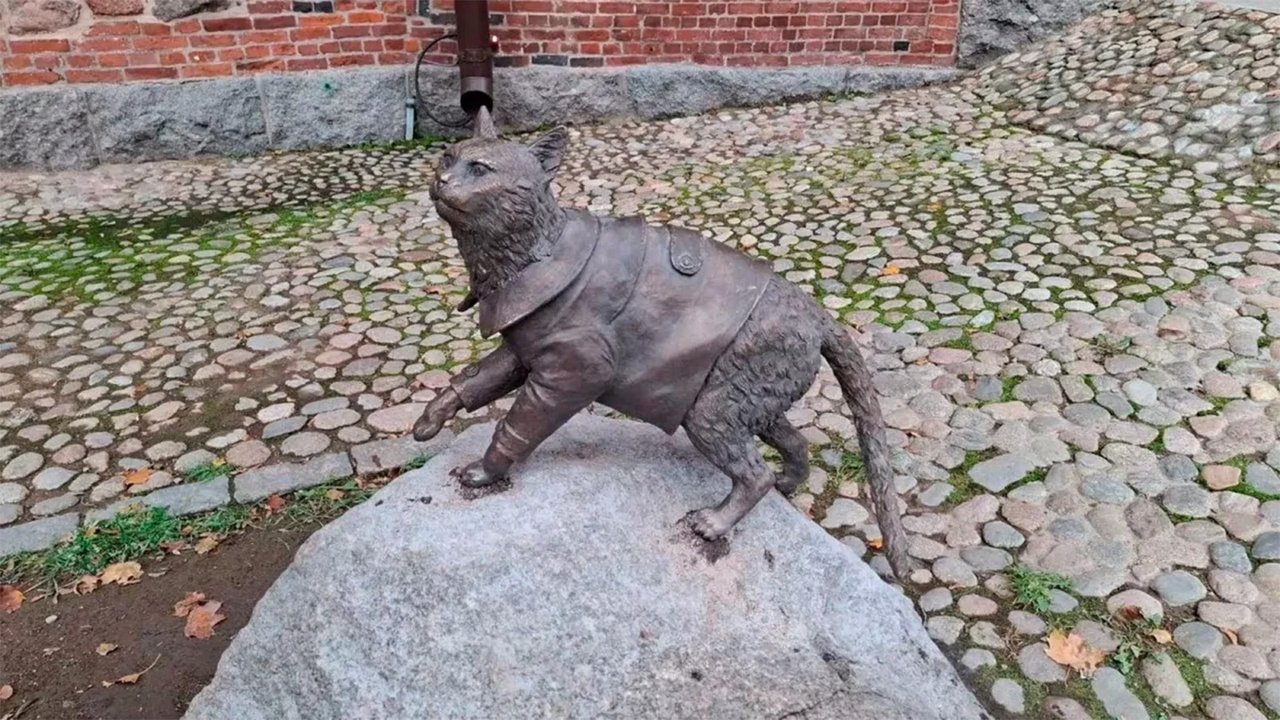 памятник коту