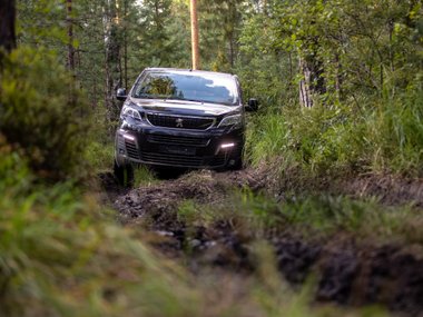 slide image for gallery: 28452 | Peugeot Traveller