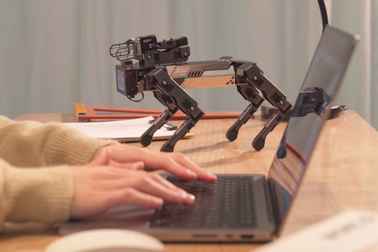 Четвероногий робот оснащен рукой-манипулятором, которую можно использовать как держатель небольших предметов. Фото: newatlas.com