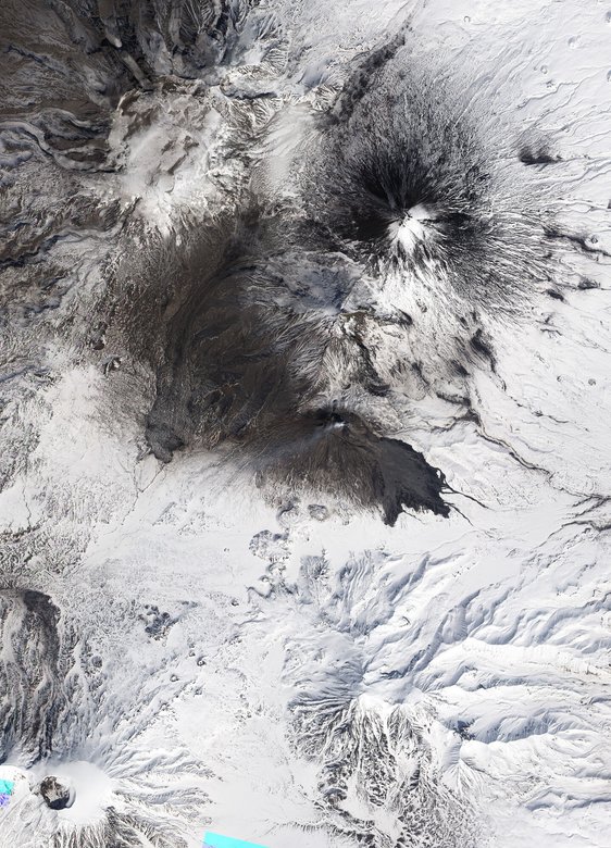 Спутниковый снимок, показывающий, что вулкан Безымянный — действующий. Фото: wikimedia / Jesse Allen and Robert Simmon, NASA Earth Observatory / общественное достояние