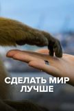 Постер undefined: 1 сезон