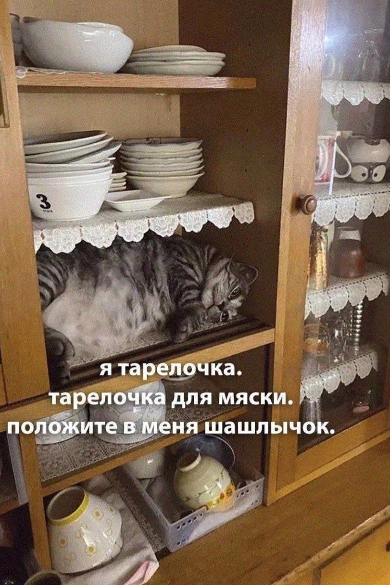 Как скажешь, кошечка Как скажешь, кошечка