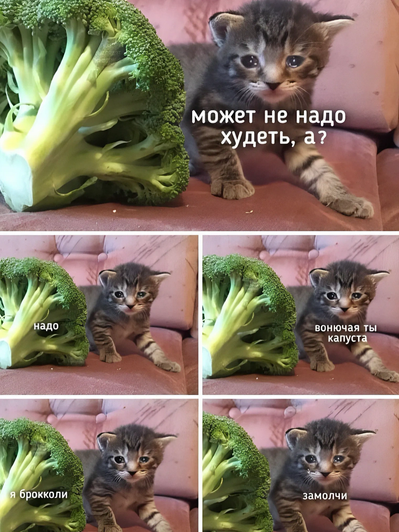 Дурацкая капуста! Дурацкая капуста!