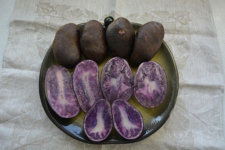 На вкус фиолетовая картошка не отличается от обычной. Фото: belbulba.by