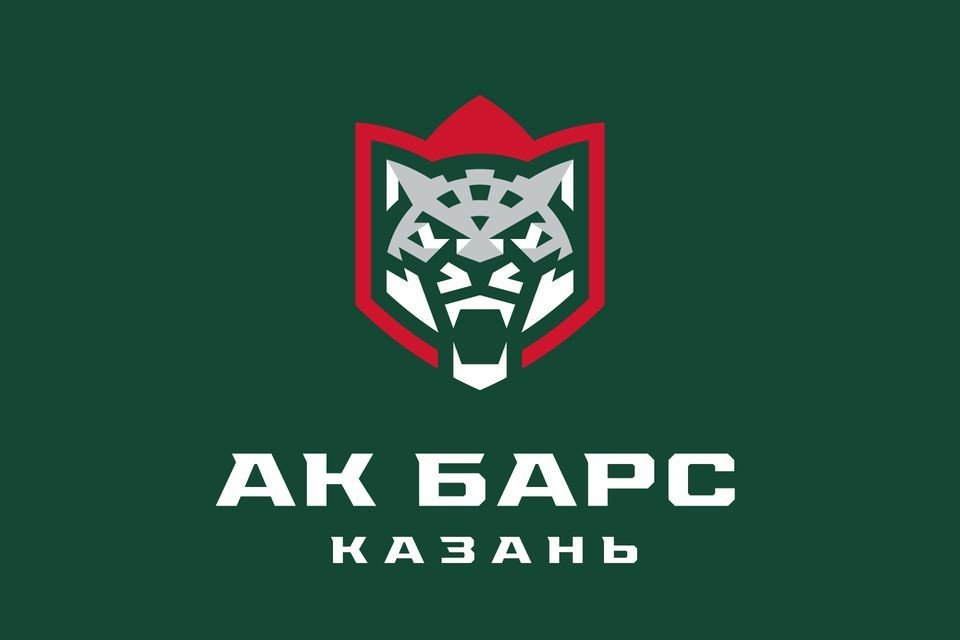 Игрока «Ак Барса» увезли с поля на носилках после силового приема в финале ВХЛ