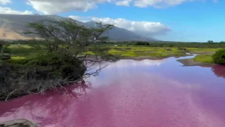 Купаться в такой воде не рекомендуют.