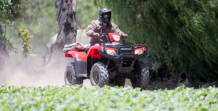 2018 honda rubicon