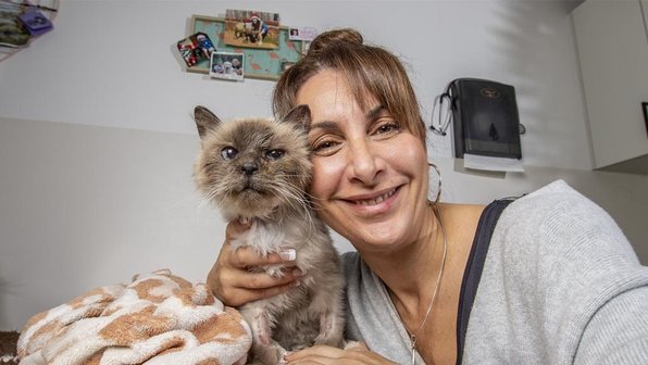 Благодарный кот гладит хозяина в ответ