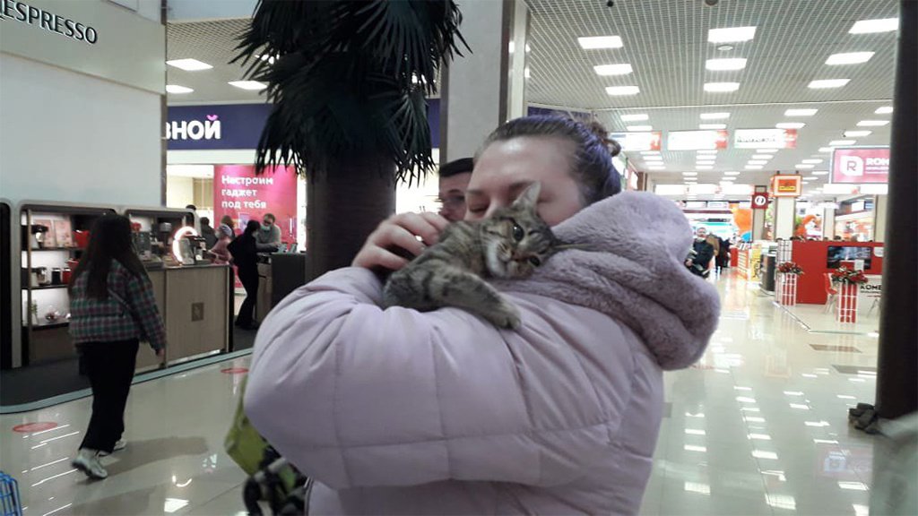 Титар