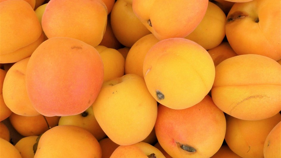 Сладкие абрикосы