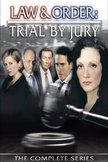 Постер Закон и порядок: Суд присяжных: 1 сезон