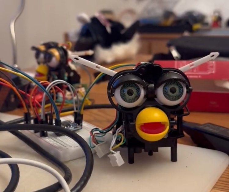 Программист интегрировала ChatGPT в игрушку-сову Furby. Фото: Jessica Card