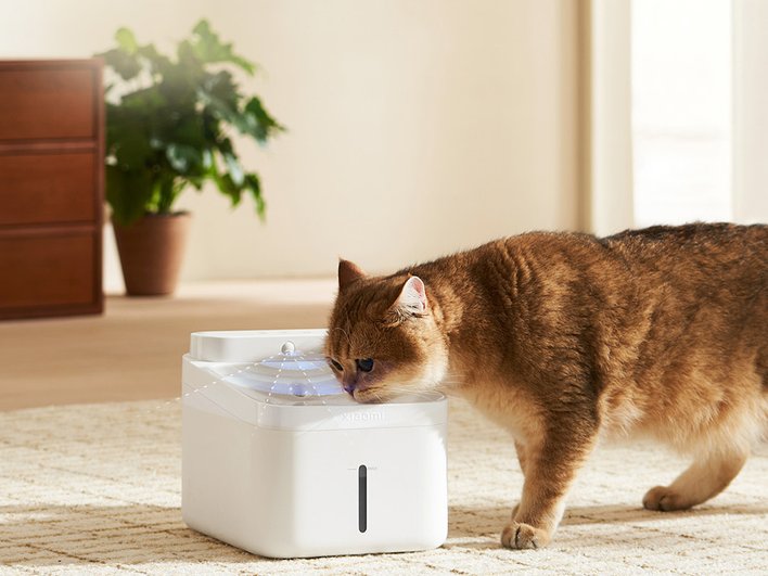 кот пьет из Xiaomi Mijia Smart Pet Water Dispenser 2.