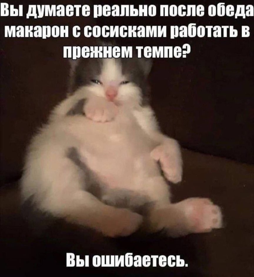 Просчитались, но где? Просчитались, но где?