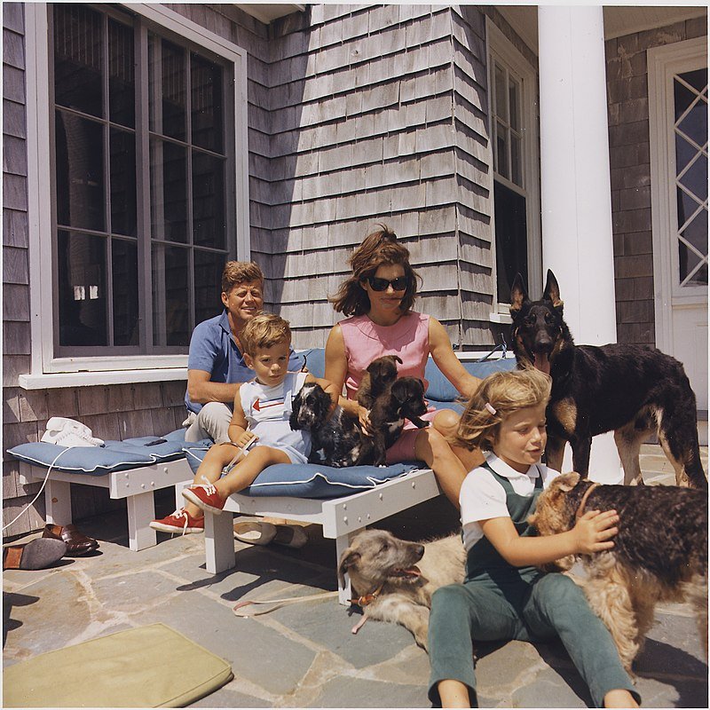 Семья Джона Кеннеди с двумя щенками Пушинки и другими семейными собаками.