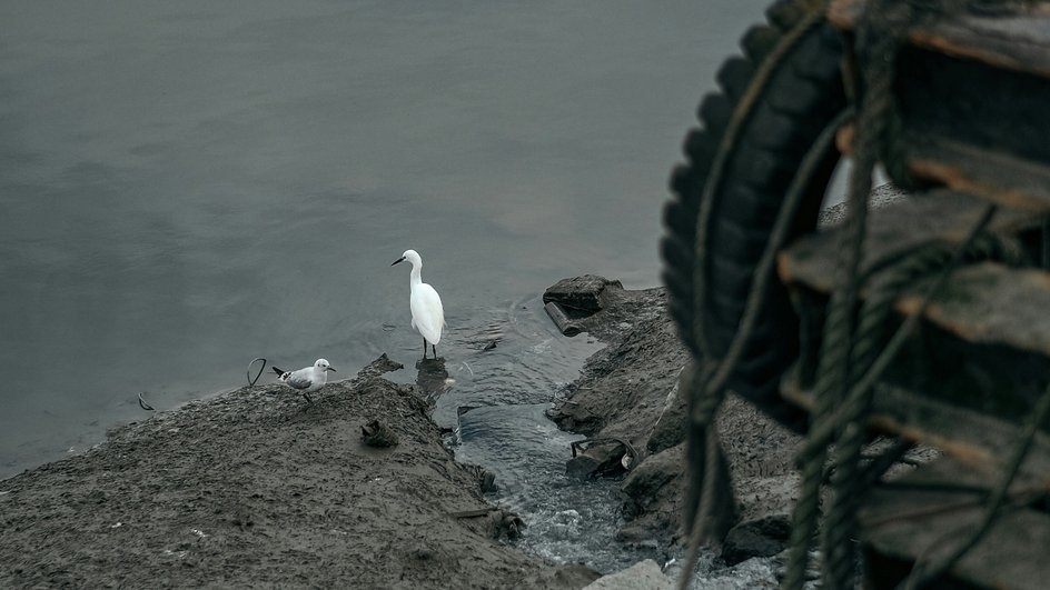 Вода Вода