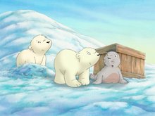 Кадр из Маленький полярный медвежонок