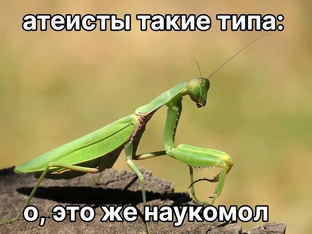 Мемы хэллоуин