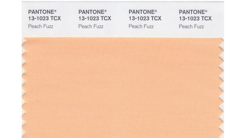 Ежегодно институт Pantone выбирает главный цвет года, а также определяет еще несколько цветов, которые будут абсолютно везде. Источник фото: pantone