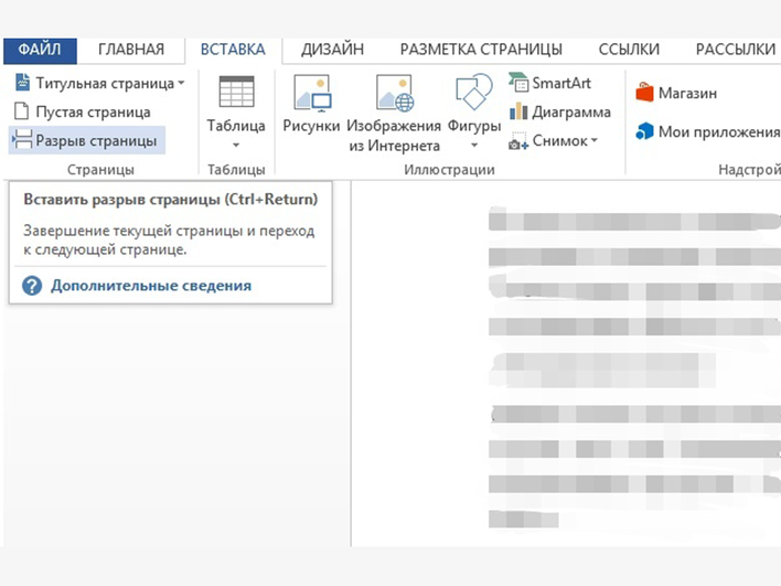 Открытый документ Word с опцией «Разрыв страницы» Открытый документ Word с опцией «Разрыв страницы»