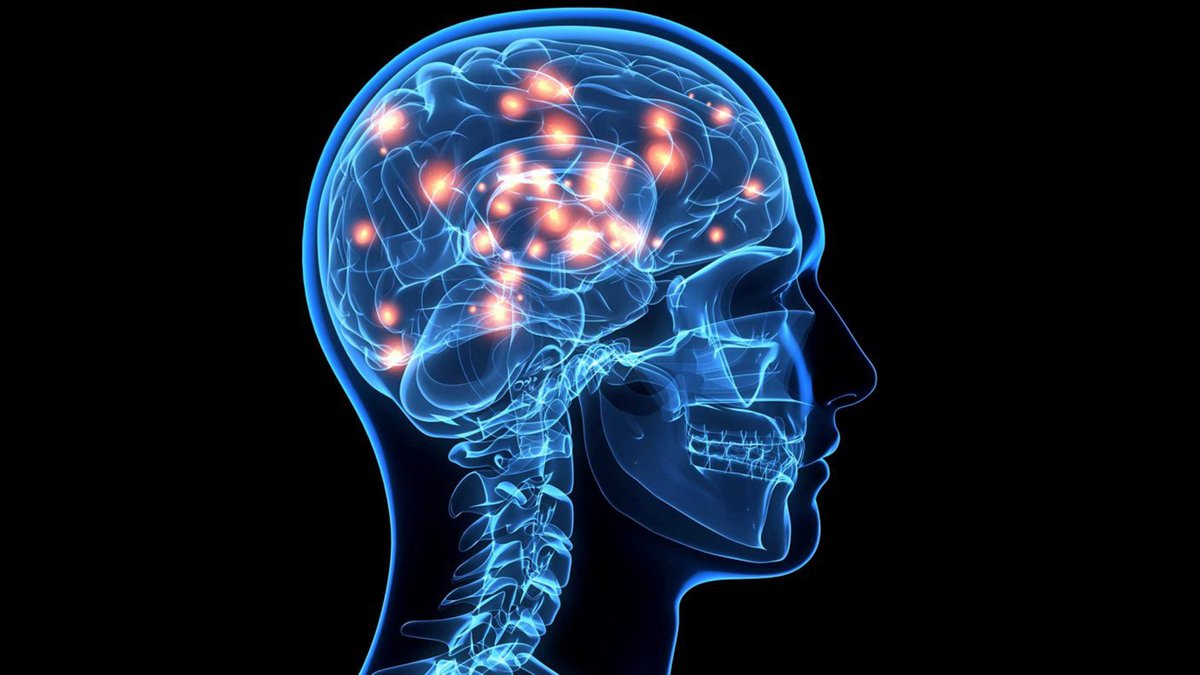 Нейрофизиология картинки для презентации