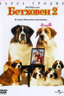 Бетховен 2: постер
