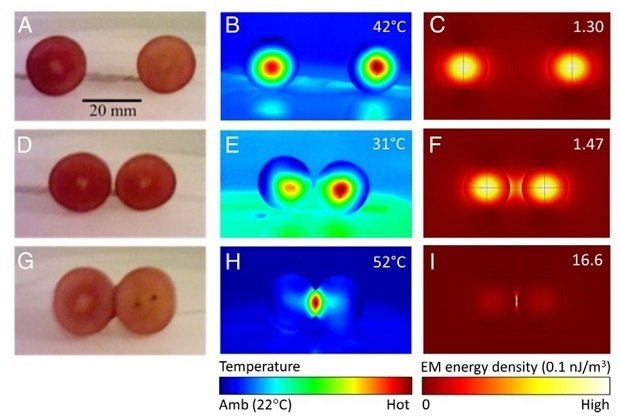 Распределение энергии в ягодах винограда под действием микроволнового излучения. Фото: National Academy of Sciences