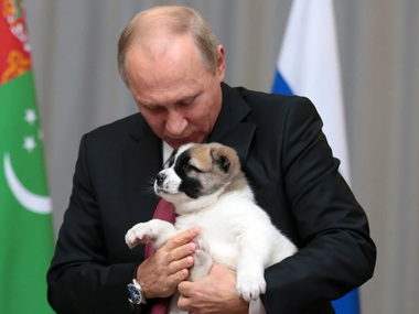 Питомцы Питомцы